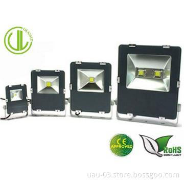 30W led floodlight, floodlight ,LED Flood Light